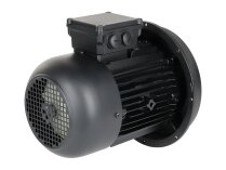 Motor eléctrico Weishaupt W-D112/140-2/3K0