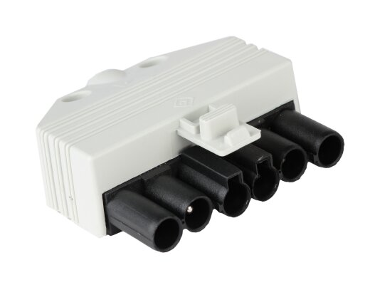 Conector Riello 6P, hembra, 3013203