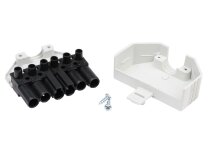 Conector Riello 6P, hembra, 3013203
